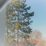 & Restaurant Alte Molkerei