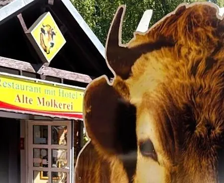 Hotel & Restaurant Alte Molkerei 3*