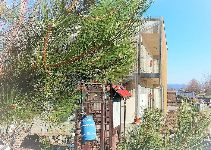 Hotel & Restaurant Alte Molkerei Koelleda